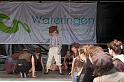 Braderie 2010 034